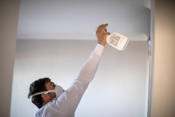 Attic Mold Removal in Salunga, PA