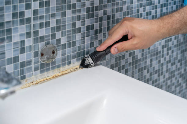 Best Office Mold Removal Services  in Salunga, PA