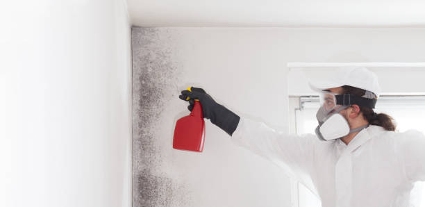 Best Commercial Mold Removal  in Salunga, PA